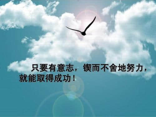 EMS进口扣货的三种情况和解决方案分享
